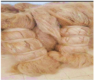 Scutched Flax Fiber